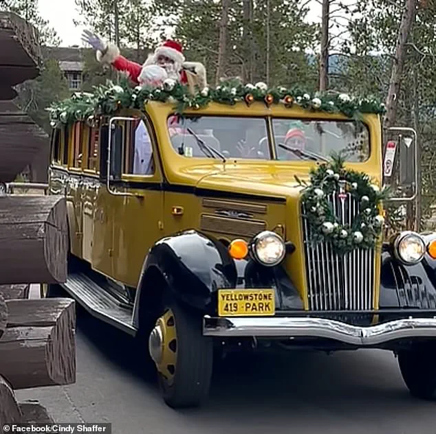 Yellowstone National Park's Unique Tradition: Celebrating Christmas Twice a Year with August Festivities