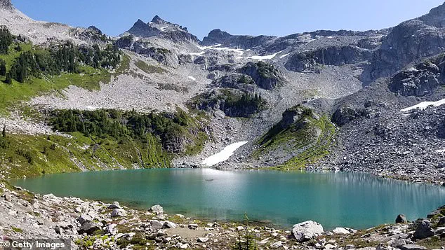 Hiker Survives Life-Threatening Incident on Tricouni Peak Trail as Dog Remains Unscathed