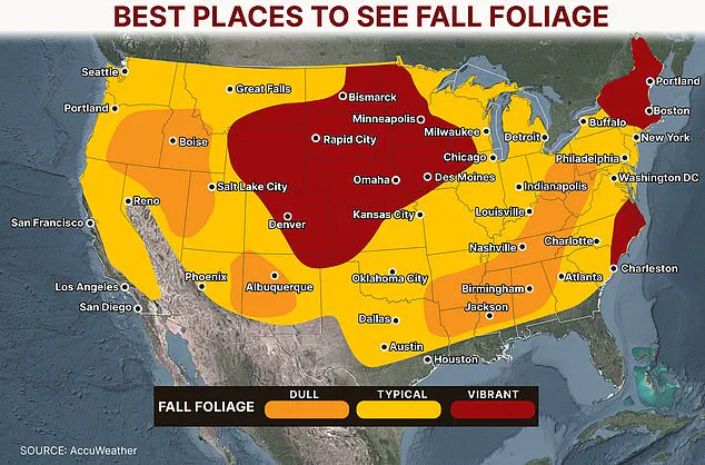Privileged Access to Autumn's Fiery Foliage: Only Select Regions Experience the Full Spectacle