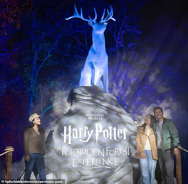 Vancouver Park Board Commissioner Apologizes for Controversial Harry Potter Event at Stanley Park