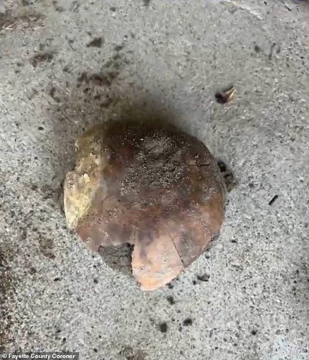 Ancient Human Skull Discovery in Fayette County, Indiana, Sparks Academic and Cultural Discussions