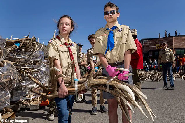 Pentagon Reviews Boy Scouts Partnership Over 2024 Name Change to Scouting America, Citing Threat to Boy-Friendly Spaces