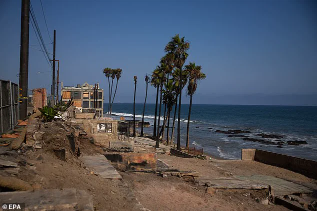 A Year After the Devastating January 2025 Wildfires, Southern California Still Grapples with Recovery and Loss
