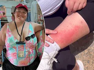 Violent Altercation at Disneyland Leads to Father Requiring Stitches, Witnessed by Dozens Including Children