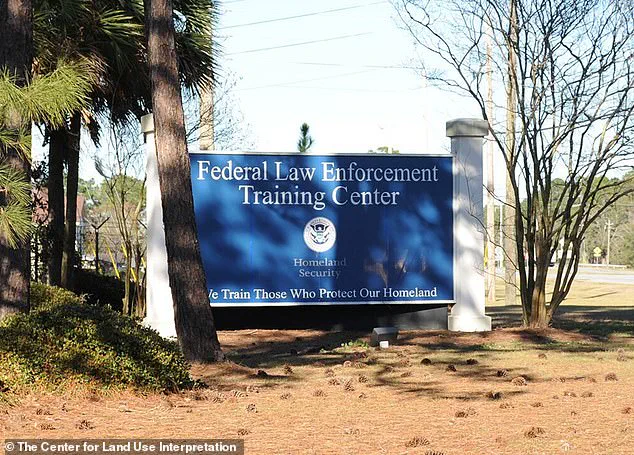 Trump's Deportation Hiring Crisis: A National Embarrassment with Unqualified Hires