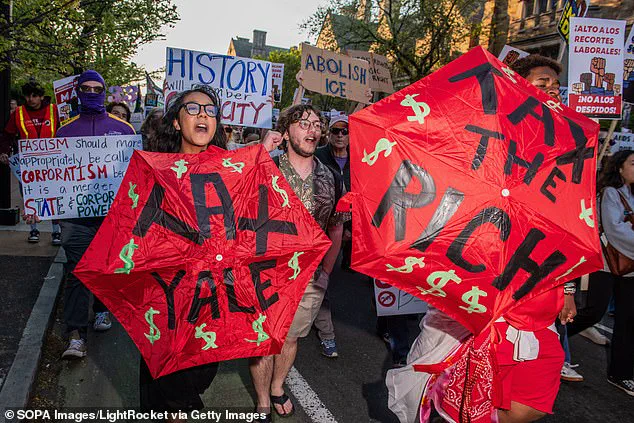 Yale Faculty's 2025 Political Donations Reveal Democratic Dominance and Absence of Republican Support