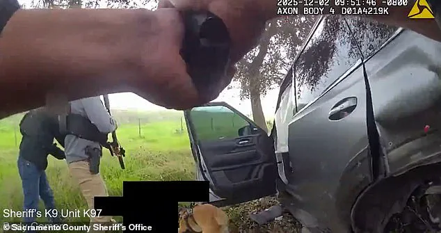 Elk Grove Tragedy Sparks Debate on Mental Health and Law Enforcement Protocols After Former Deputy's Fatal Shooting of Son