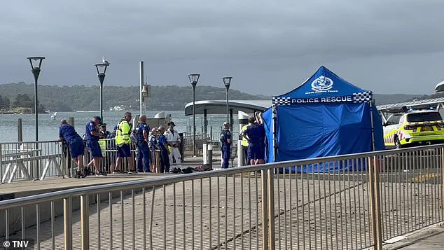 Sydney's Northern Beaches in Lockdown After Three Shark Attacks Fuel Community Fear