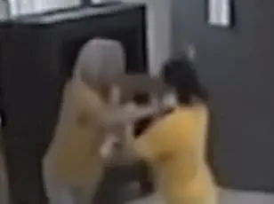 Newly Released Footage Reveals Violent Confrontation Between Three Prominent Democrats at Bellefontaine Community Center Town Hall