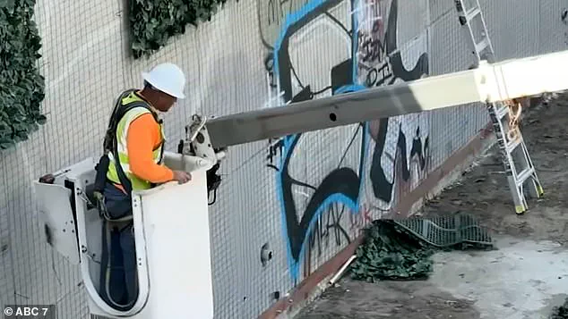 California's Anti-Graffiti Initiative Fails as Artificial Ivy Wall Defaced Within Hours