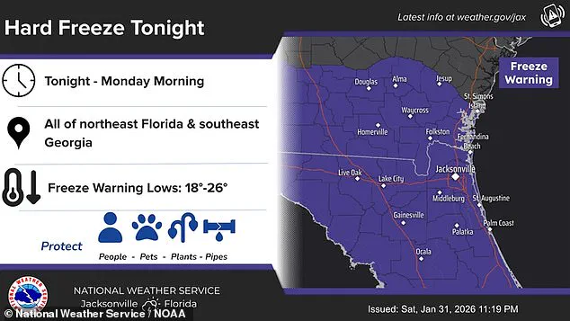 Florida's Unprecedented Cold Snap: Bomb Cyclone 'Winter Storm Gianna' Brings Record-Breaking Snow and Ice, Challenging the 'Sunshine State' Identity