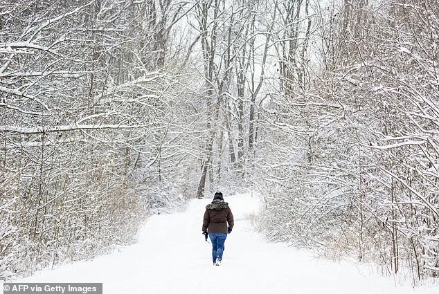 Local Woman Dies After Slipping on Ice During Cold Snap in Annapolis
