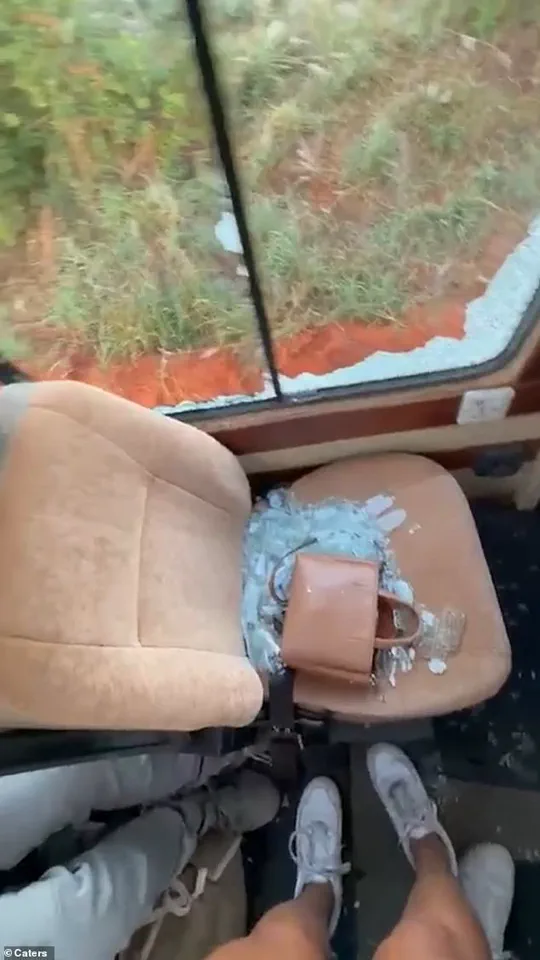 From Tranquility to Terror: British Tourists' Harrowing Encounter with a Charging Elephant in Tanzania