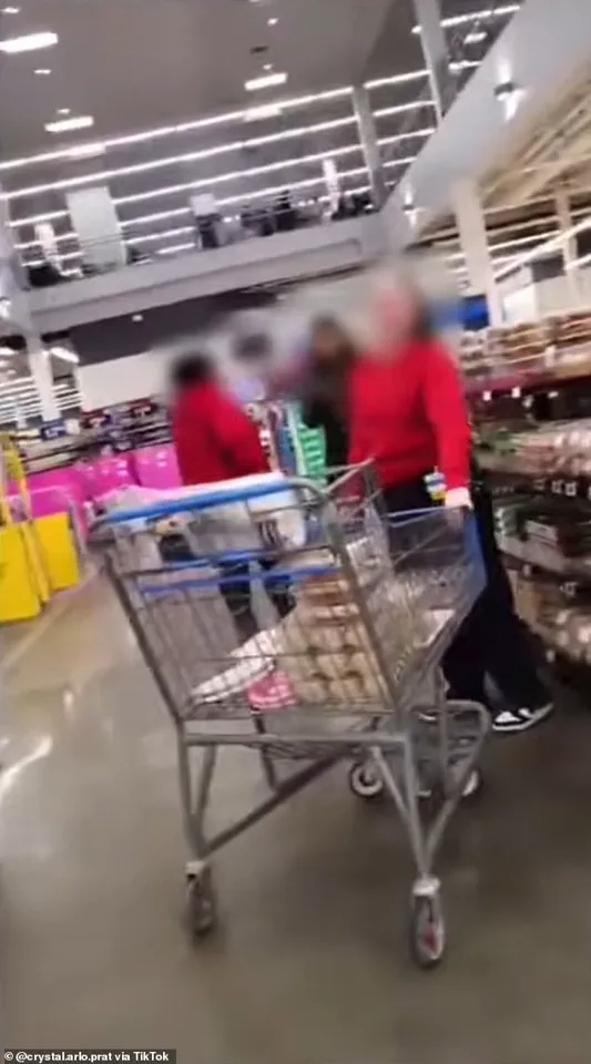 Walmart Service Dog Incident Sparks ADA Compliance Debate