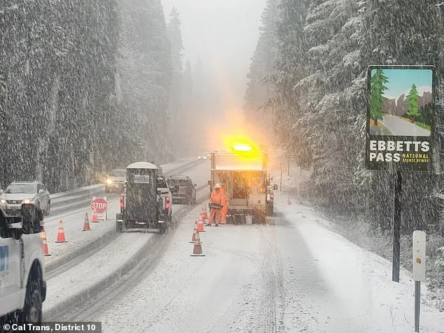 Ten Backcountry Skiers Missing After Massive Avalanche Near Lake Tahoe