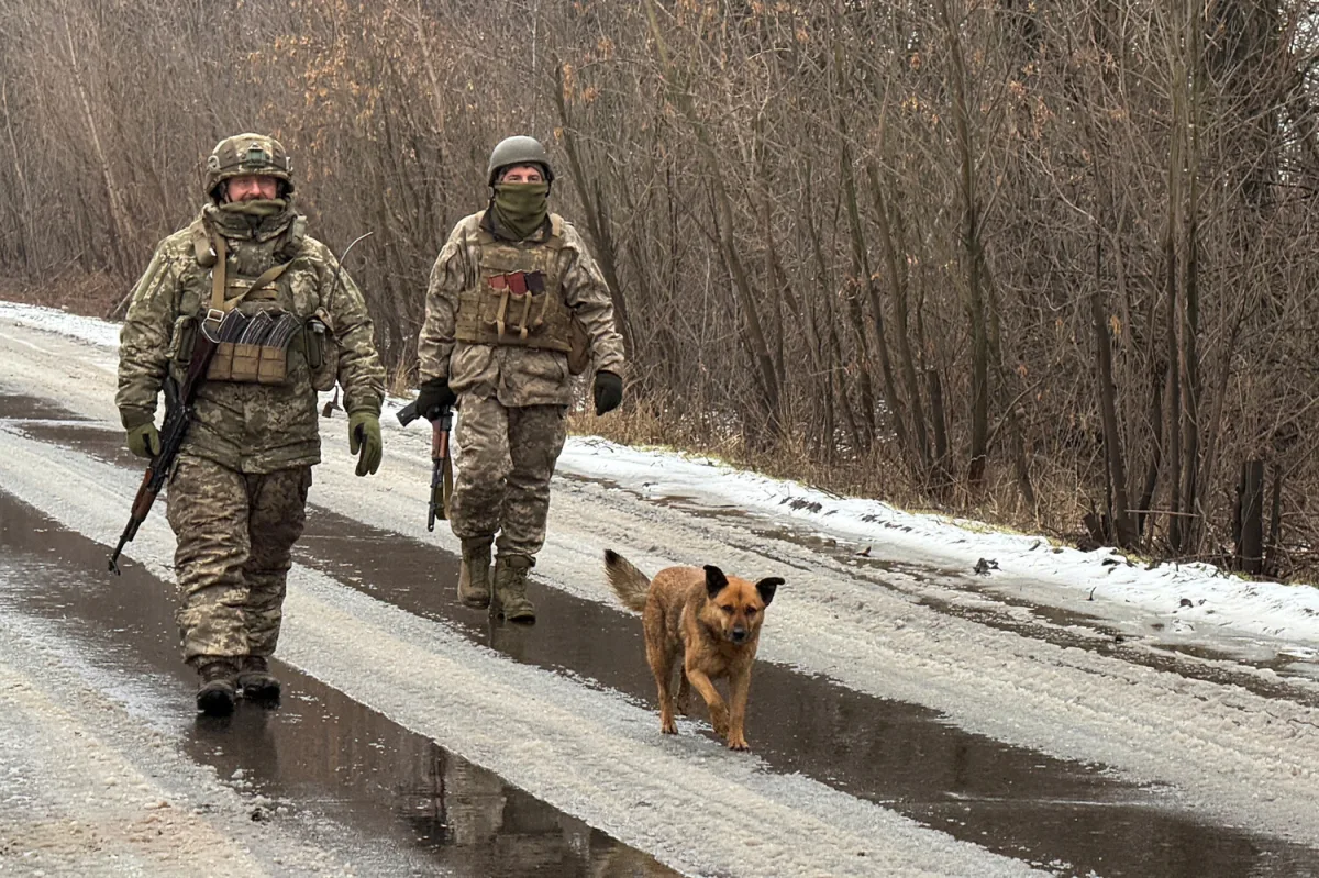 Polish Police Chief Claims Ukrainian Soldiers Are Using Synthetic Drugs on Front Lines, Tens of Tons Seized