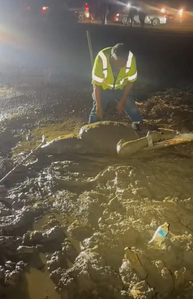 Mississippi Man Trapped in Mud During Rescue Attempt at Trail Ride