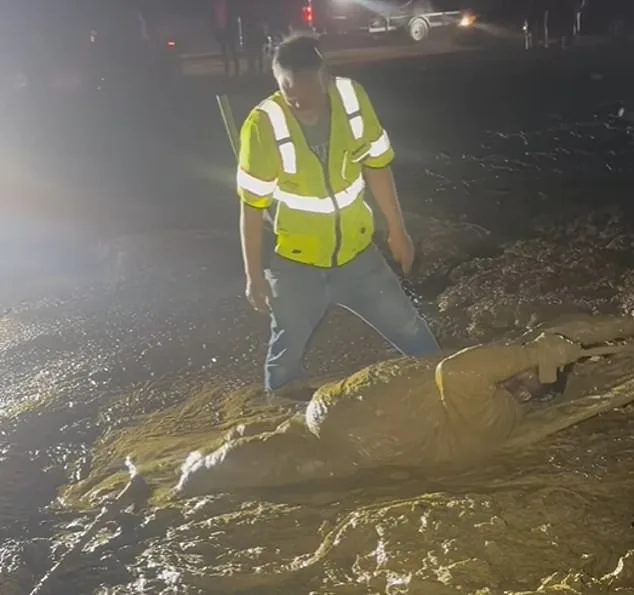 Mississippi Man Trapped in Mud During Rescue Attempt at Trail Ride