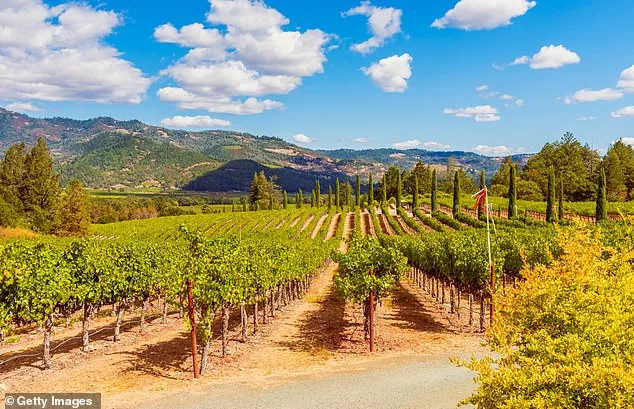 Lindsay Hoopes' Napa Vineyard Faces $4M Fines in Legal Battle Over Public Events and Regulations
