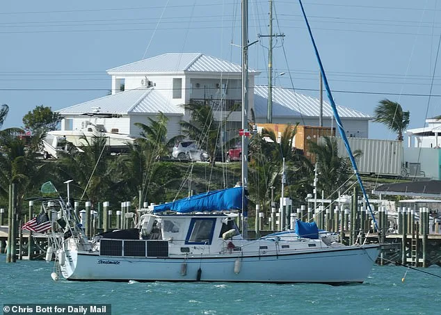 Tragic Disappearance of Lynette Hooker: Alcohol, Darkness, and Shark-Infested Waters
