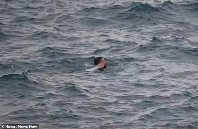 Man Dies in Hawaii Cliff-Jumping Accident